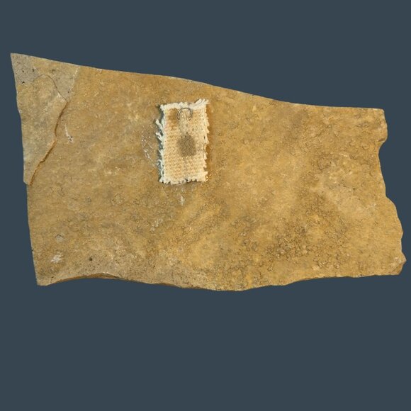 Calico Cat Stone Plaque Unique Art Hand Painted Rustic Wall Hanging Cottage - Picture 3 of 4